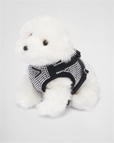 prada hund|Prada luxury dog accessories.